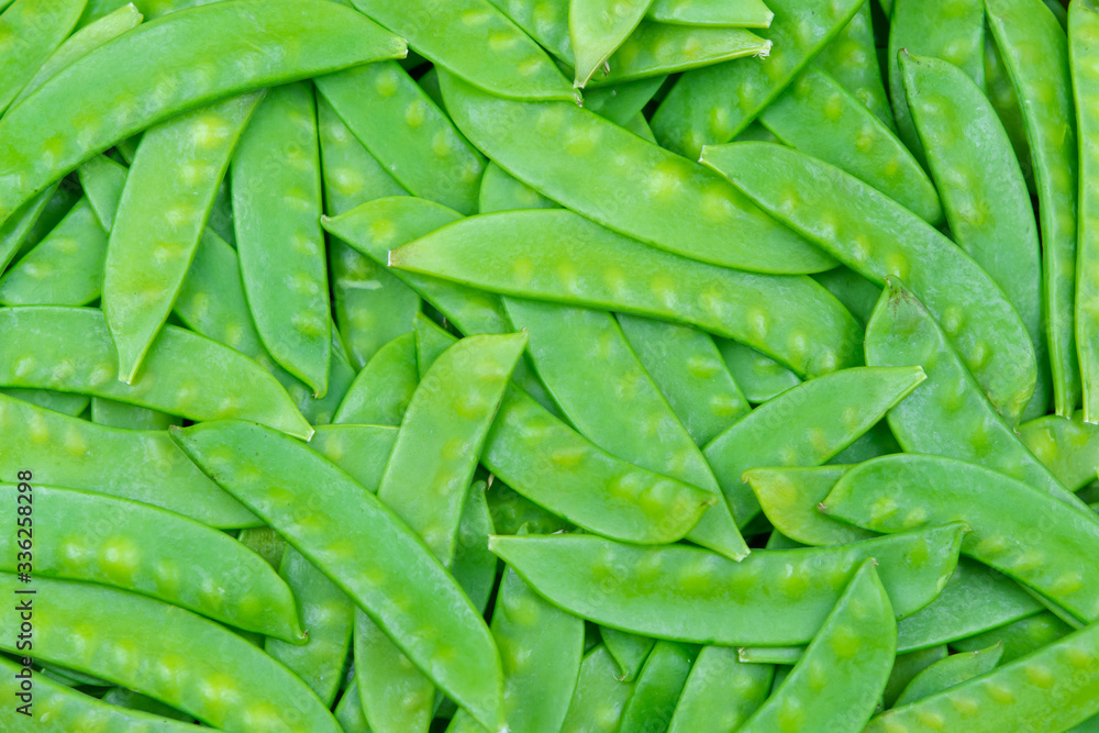 green snow pea pods background. green snow pea pods background.