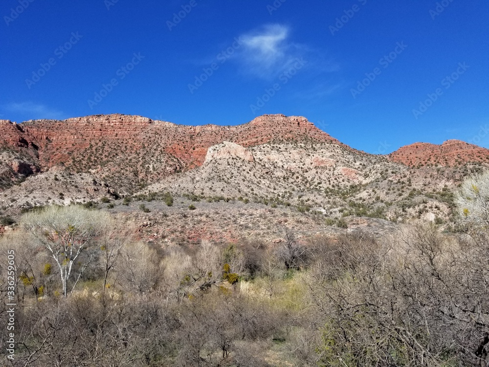 desert landscape Arizona USA