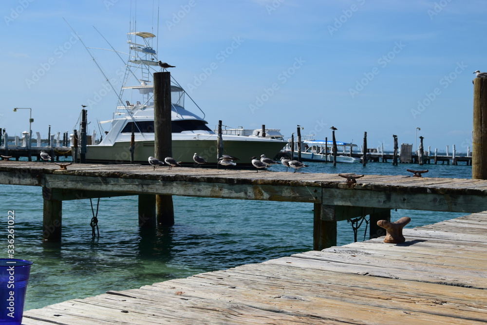 Fototapeta premium Muelle 