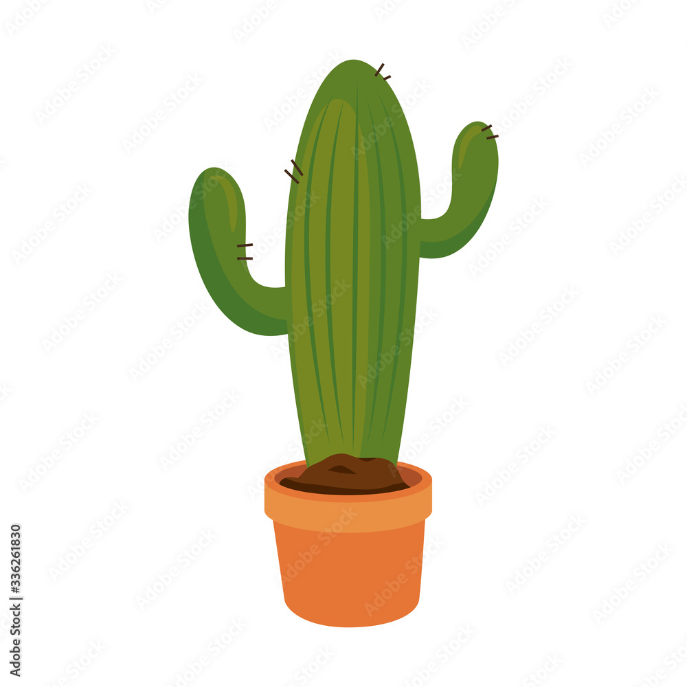 Cactus design, Plant desert nature tropical summer mexico and western theme Vector illustration Cactus design, Plant desert nature tropical summer mexico and western theme Vector illustration