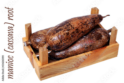  manioc (cassava) photo