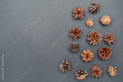 Pine cones. Natural materials for crafts. Top view with copy space, flat lay.