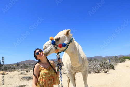 Camello y turista © Shandell