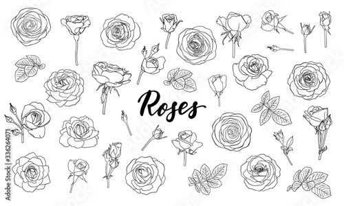 set of black and white outline roses, buds and leaves. Floral contour isolated on white background. design greeting card and invitation of the wedding, birthday, Valentine s Day, mother s day, holiday