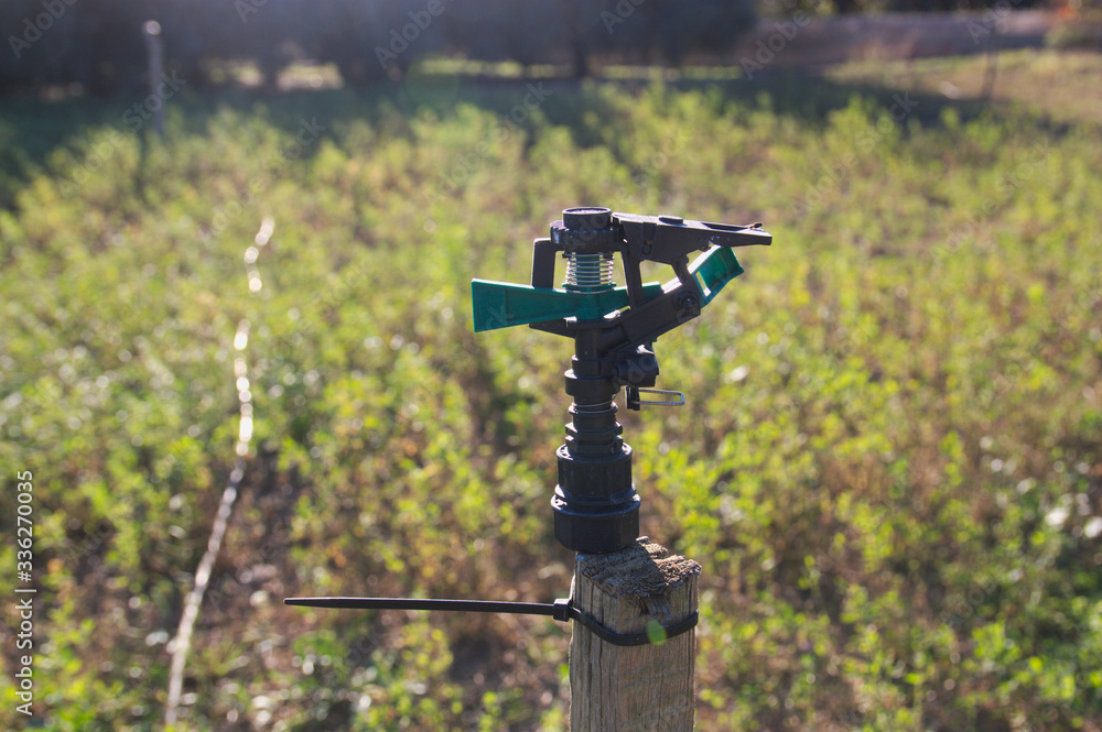 Close-up of a mechanical turning sprinkler