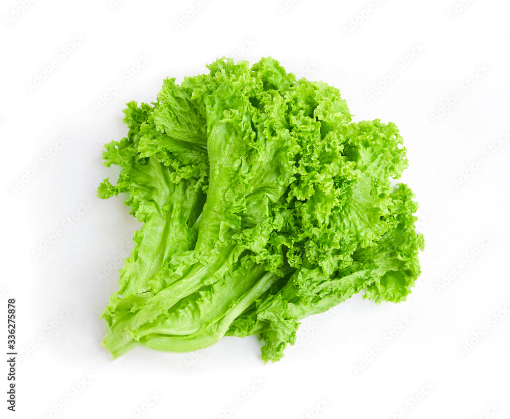 Fresh green lettuce leaves isolated on white. Fresh green lettuce leaves isolated on white.
