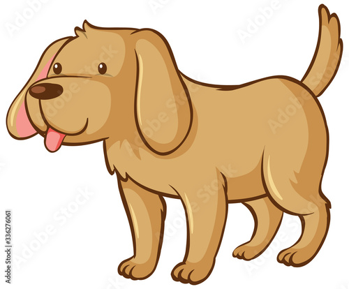 One brown dog on white background