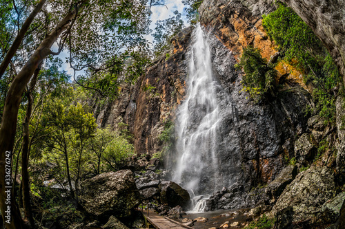 Waterfall  Purling Brook Falls  Springbrook National Park