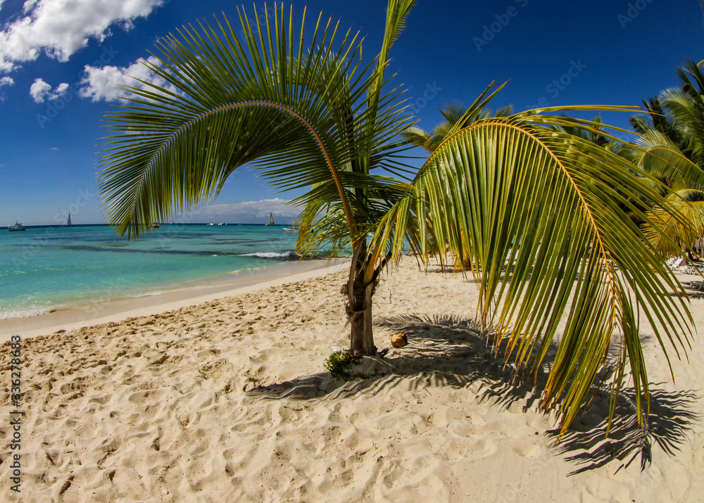 Obraz premium Amazing Beach View From Saona Island