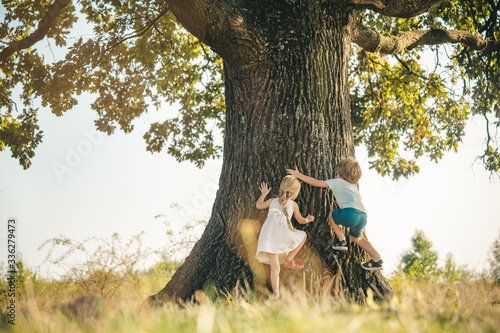 Overcoming the fear of heights. Happy children on countryside. Climbing trees children. Little boy and girl climbing high tree. Funny brother and sister. photo