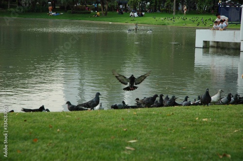 Wallpaper Mural Thailand Tour and landscaping  Torontodigital.ca