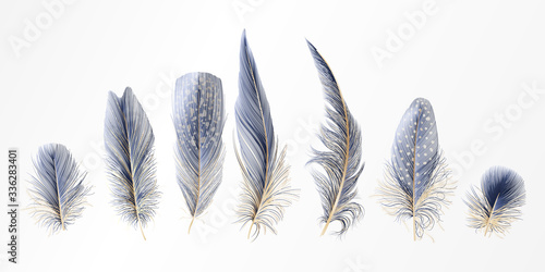 Set Modern abstract art Blue with Golden Feather. . Vector illustration.