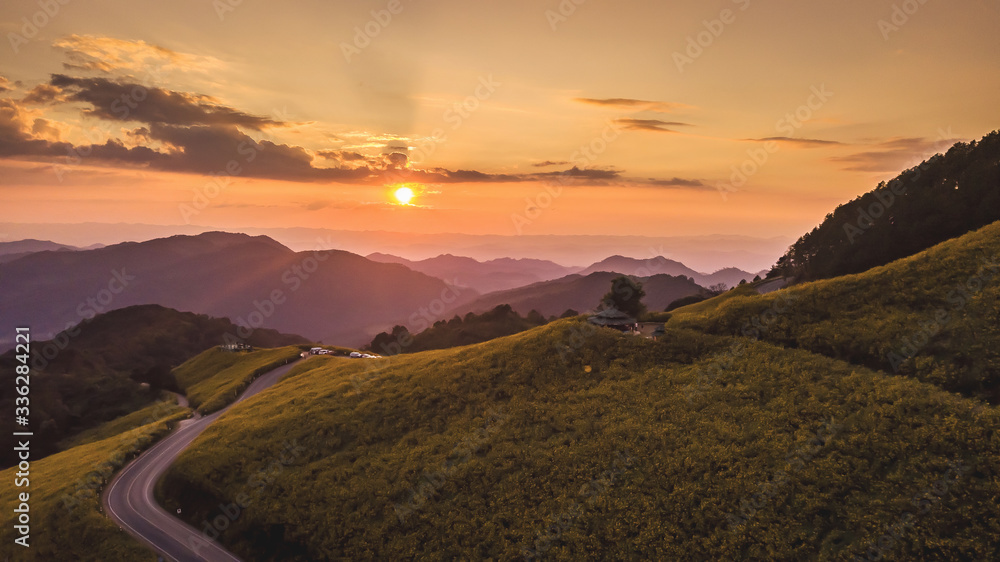 aerial view landscape of Mountain in Twilight time nature flower Tung Bua Tong Mexican sunflower field ,Mae Hong Son,Thailand