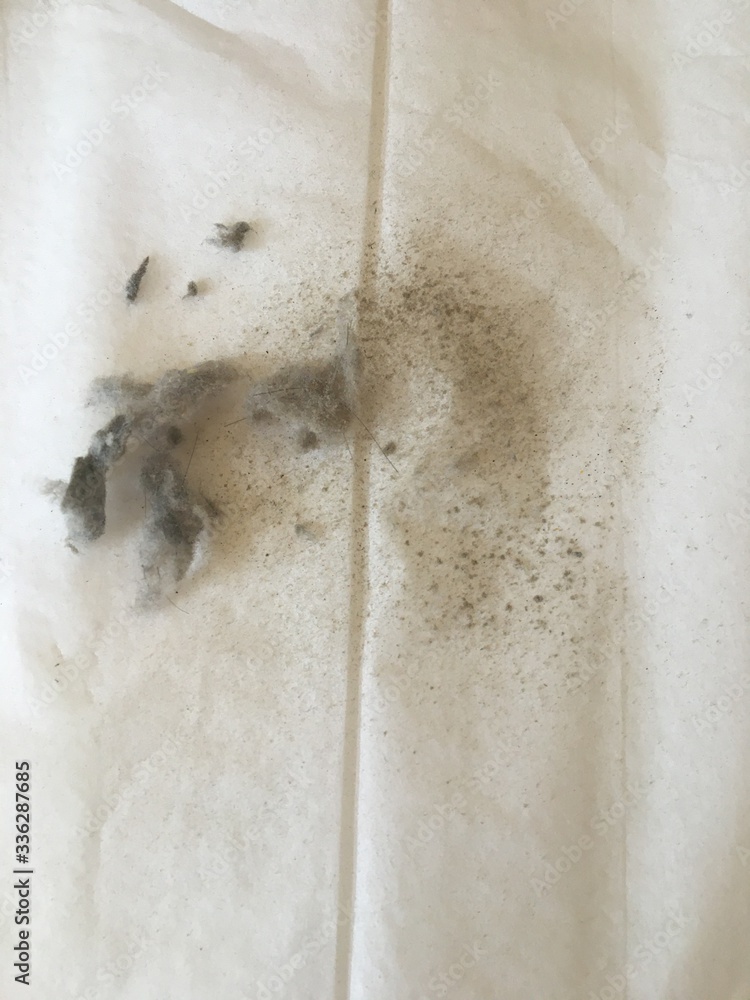 Common house hold dust, isolated on white.