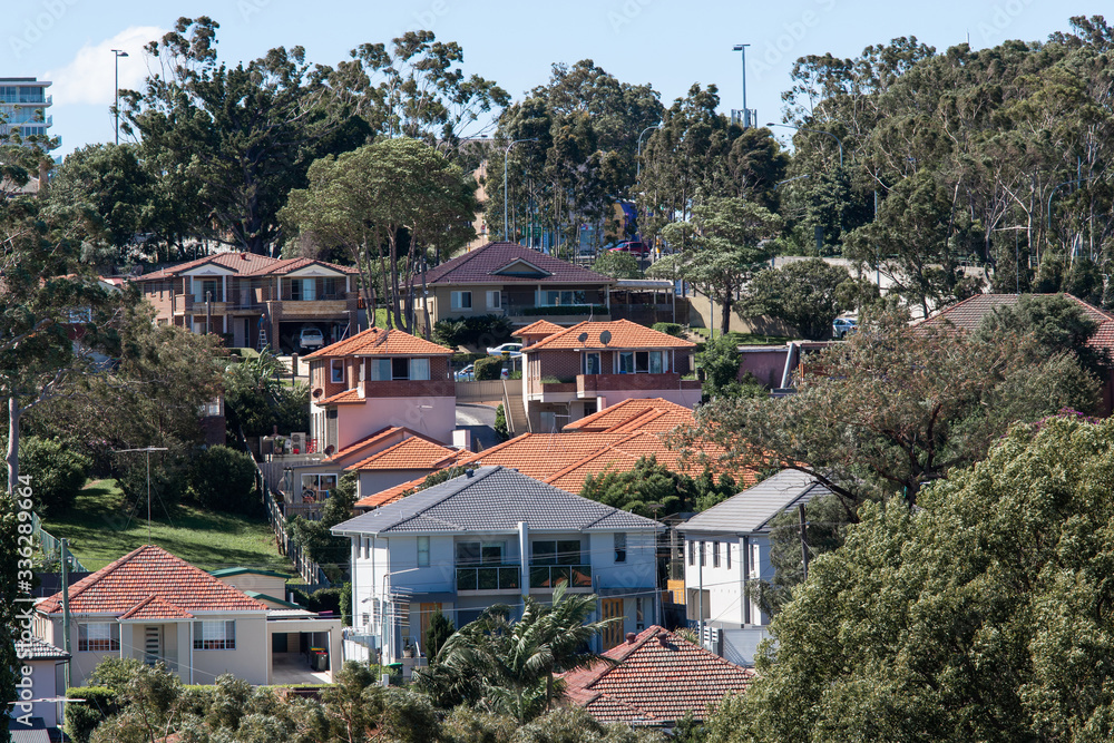 Houses surrounded by trees in Sydney, Australia.
