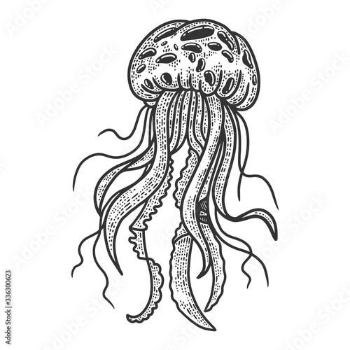 jellyfish sketch engraving vector illustration. T-shirt apparel print design. Scratch board imitation. Black and white hand drawn image.