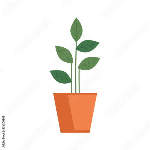 plant in house pot isolated icon vector illustration design
