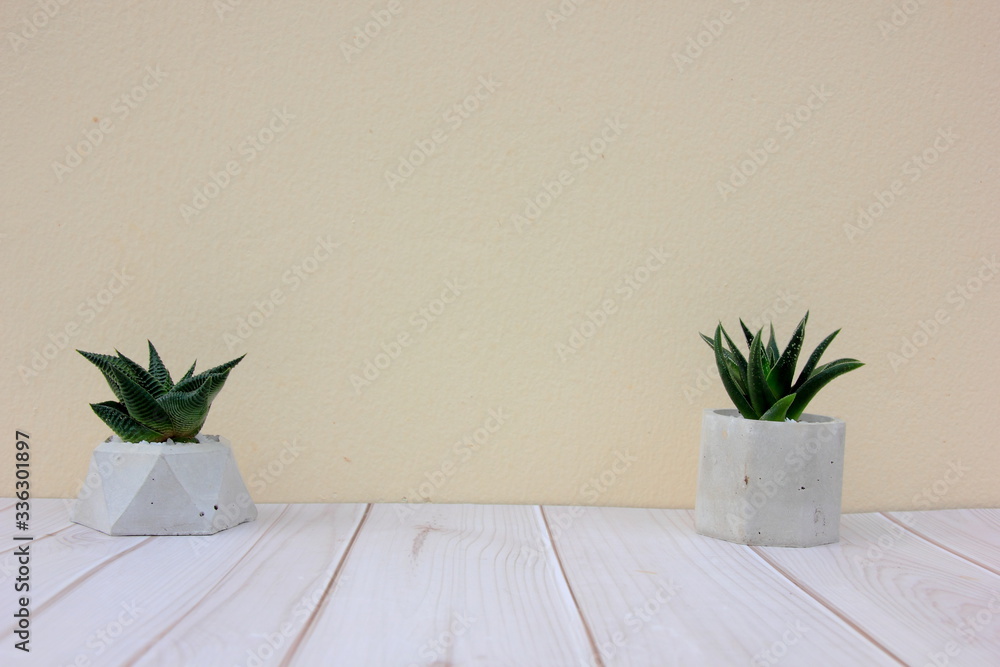 A small cactus in cement pot on wooden and yellow background. A small cactus in cement pot on wooden and yellow background.
