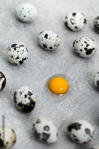 Many quail eggs on gray concrete cement background. One egg broken  orange yolk and protein. Easter cooking concept.
