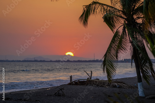 Beautiful sunset on the beach with the silhouette of the palm trees 