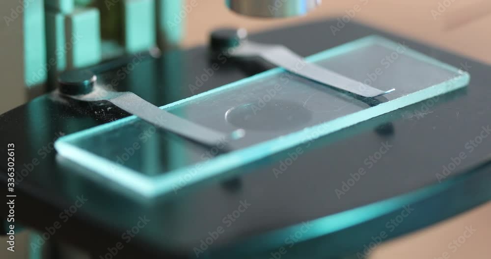 Close up of examining of test sample under the microscope in laboratory. Close up of examining of test sample under the microscope in laboratory.