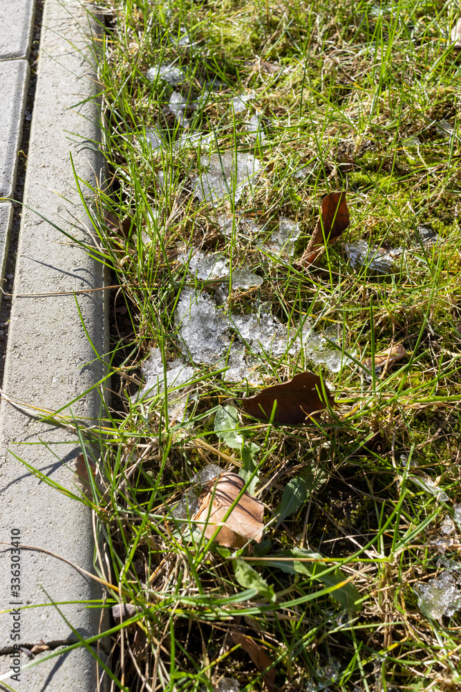 Obraz premium Reste von Schnee auf dem Gras