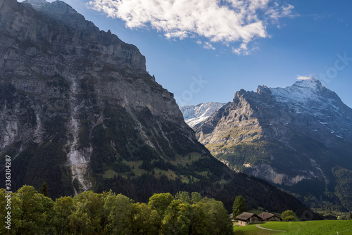 An alpine valley with Swiss houses, trees and countryside and the Eiger mountain range in the background in Grindelwald Switzerland.