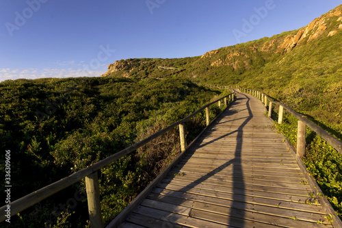 Wooden walkway going up a hill 