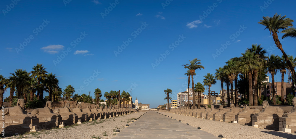 Fototapeta premium Luxor Temple Sphinxes is an avenue of Sphinxes connecting Luxor Temple and Karnak