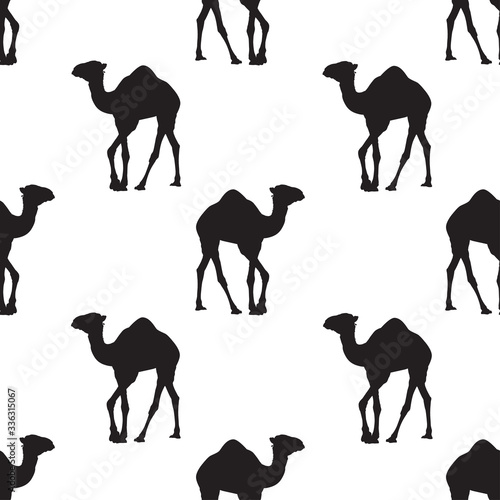 Vector seamless pattern with black camel silhouettes on white background