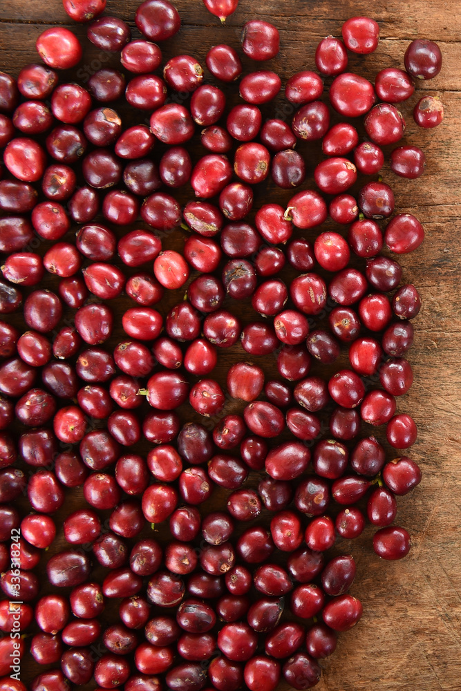 close up of fresh coffee beans for background close up of fresh coffee beans for background