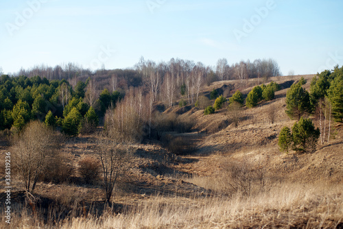 Hilly area with pine trees and deciduous trees on a sunny day.