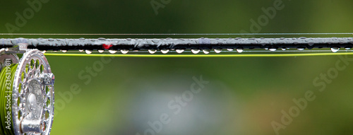 Fragment of a fly fishing rod with dew drops photo