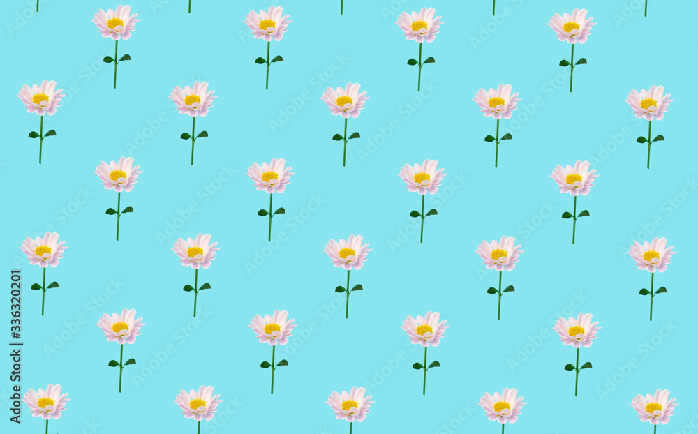 Floral minimal background. Flowers on a colored background. Creative minimal background