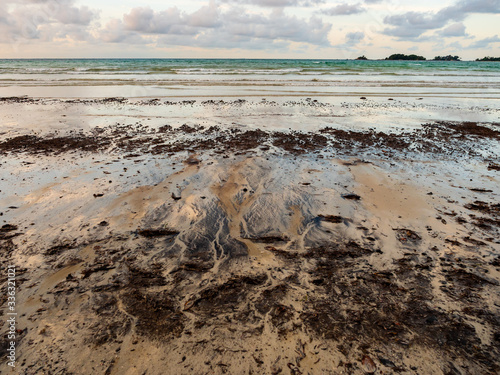 Tar balls and oil sludge on Lagoi beach in Bintan Island Indonesia