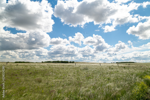 blue sky with Cumulus clouds, field (steppe) © MaxМ