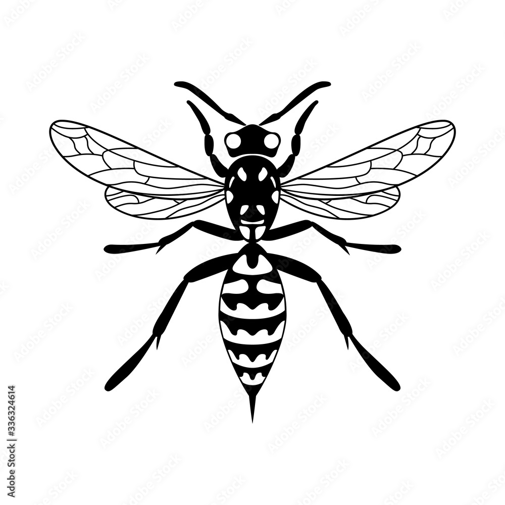 Fototapeta premium Insect wasp icon. Black wasp vector illustration on a white background. 
