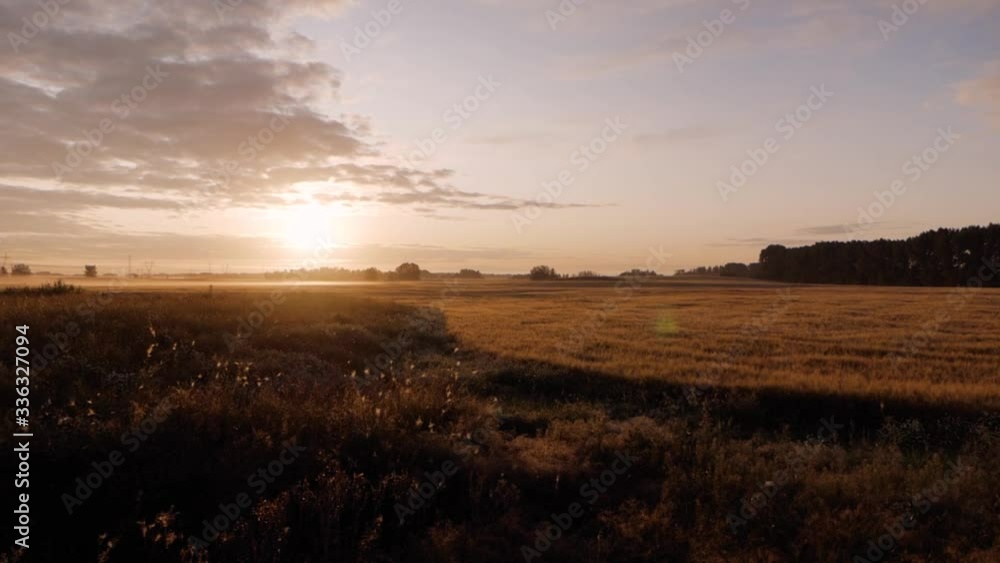 Wheat Field Sunrise With Low Lying Fog and Lens Flare
