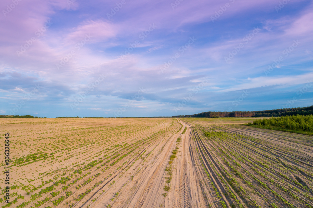 Spring rural landscape, aerial view. View of plowed fields with beautiful sky