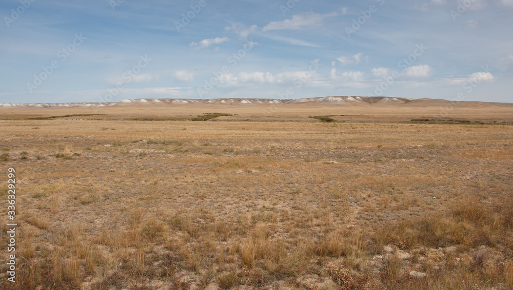 dry steppe, white hills on the horizon with white clay