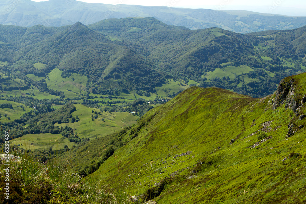 Fototapeta premium Fromage AOP Salers