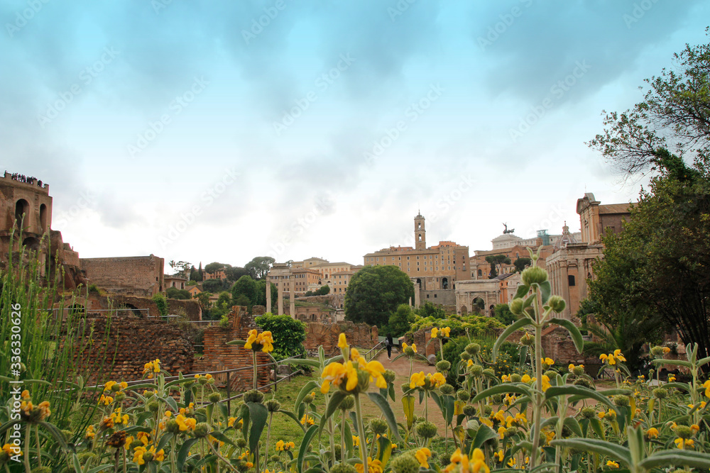View of Rostrums, Umbilicus Urbis, Miliario Aure at Roman Forum with yellow flower as foreground in Rome, Italy