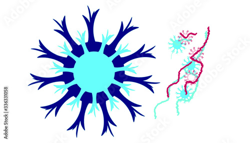Corona Virus Icon Vector Logo Template Illustration Design.