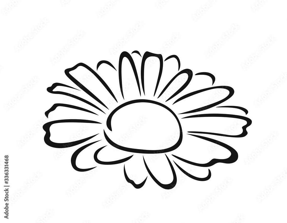 Chamomile black and white silhouette, outline. Vector cartoon illustration of daisy flower. Floral icon. Chamomile black and white silhouette, outline. Vector cartoon illustration of daisy flower. Floral icon.
