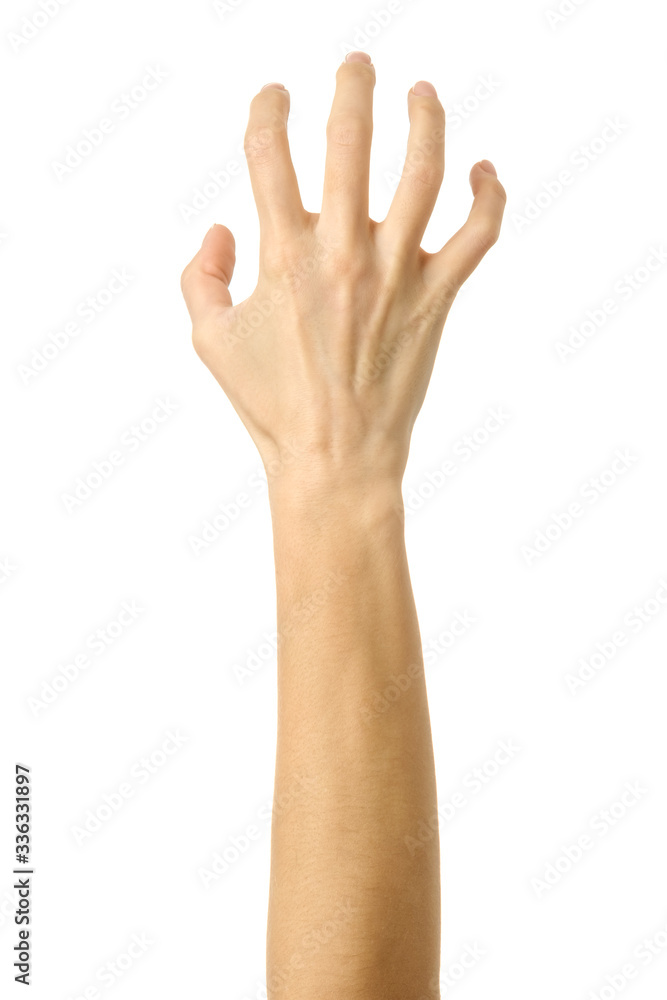 Pulling, grabbing, reaching or scratching. Woman hand gesturing isolated on white Pulling, grabbing, reaching or scratching. Woman hand gesturing isolated on white