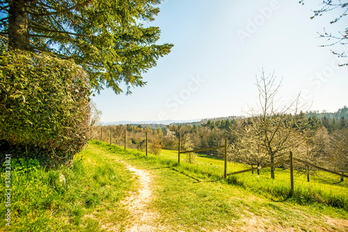 landscape with way, meadow, trees, bushes in early spring in Germany