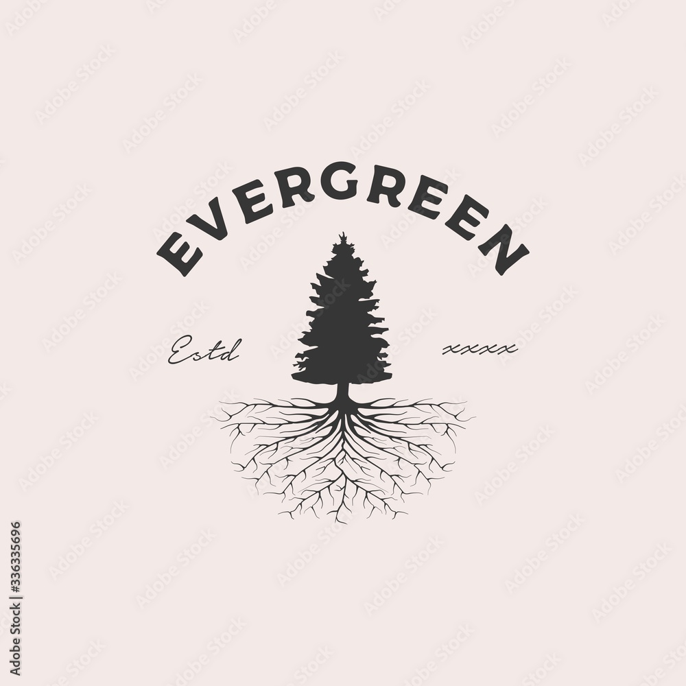 Evergreen root badge logo design vector illustration Evergreen root badge logo design vector illustration
