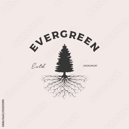 Evergreen root badge logo design vector illustration
