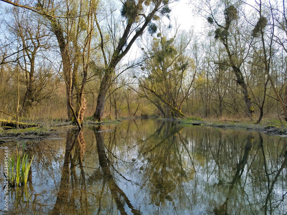 Ein verlassener, einsamer Platz mit See und Wald. Ein verlassener, einsamer Platz mit See und Wald.
