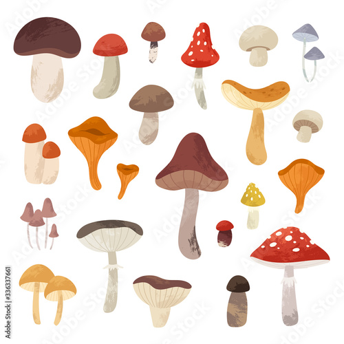 Autumn hand drawn big vector set of various types of mushrooms. Colored trendy edible forest food illustration with texture. Perfect for recipe, menu, label, packaging, poster, wrapping paper